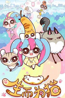 园洲seo推广价格多少